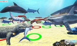 章鲨大战鲸狼在线观看,惊心动魄的海洋对决